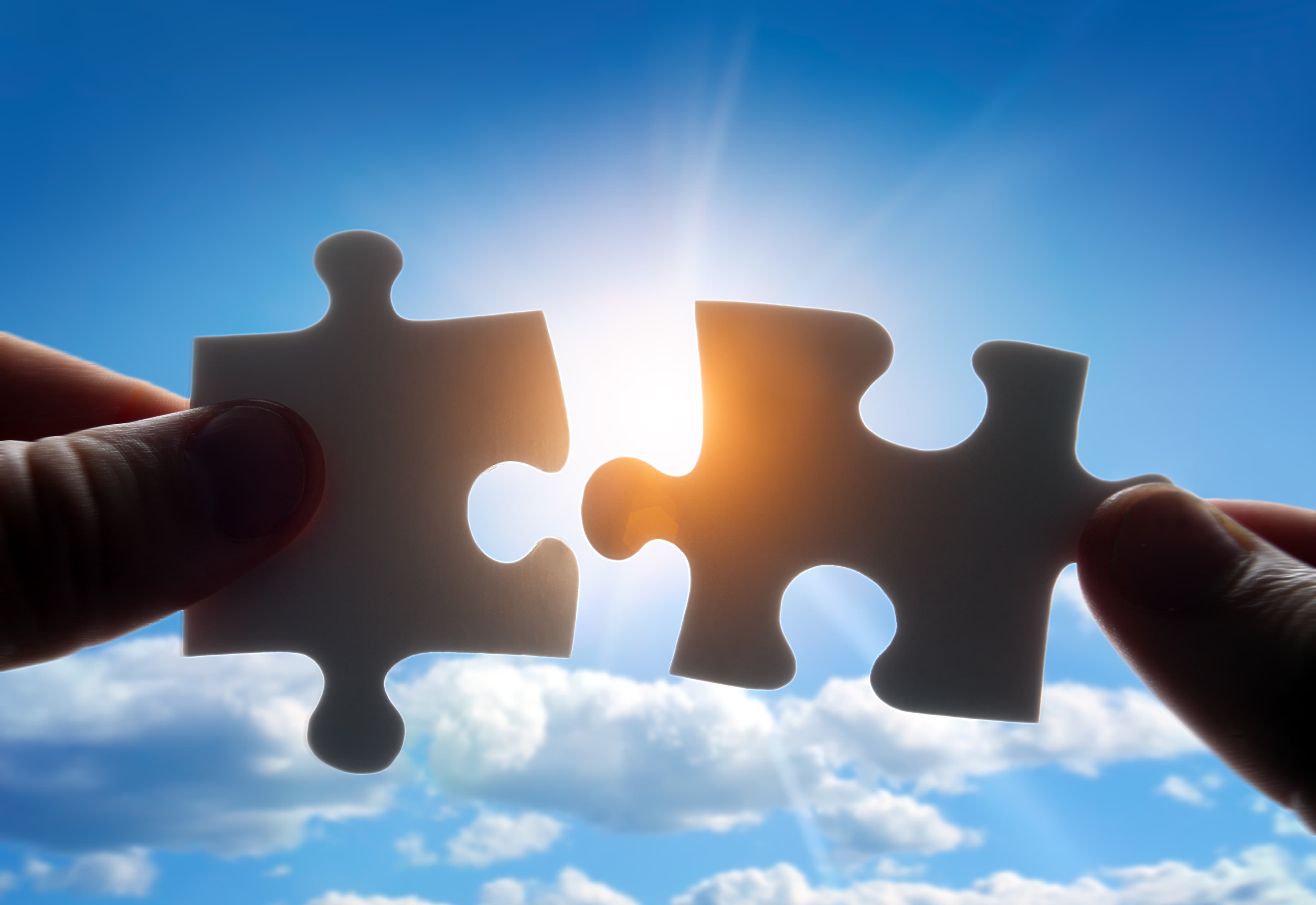 Collaborations and Joint Ventures